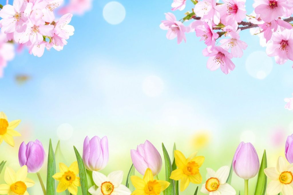 Spring in English: 5 giochi e canzoni per portare la primavera in casa (con Helen Doron)